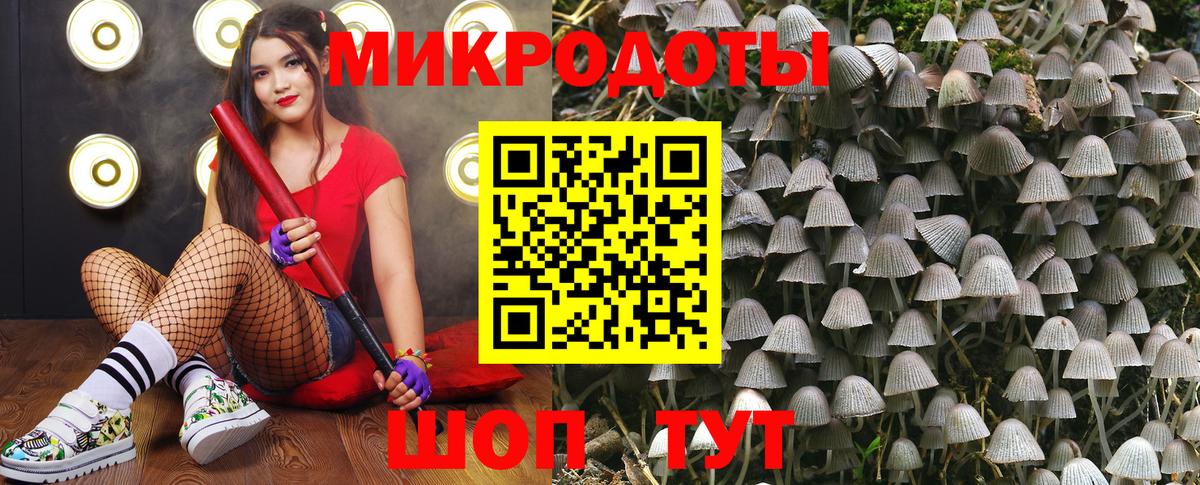Псилоцибиновые грибы ЛСД  что такое   Симферополь  Вход с VPN 